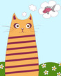 chubby cat