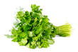 Bunch of parsley isolated on white background Bunch of parsley isolated on white background