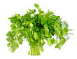 Bunch of parsley isolated on white background Bunch of parsley isolated on white background