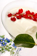 Sorbetto