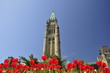 Tulip Festival in Ottawa Tulip Festival in Ottawa