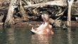 yawning hippo