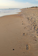 Footsteps on a beach in North Carolina vertical