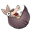 armadillo