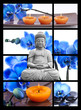 Bouddha et Sérénité