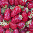 raw fresh strawberries closeup