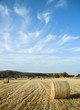 Farmland Farmland