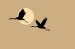 crane silhouette on solar background crane silhouette on solar background