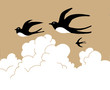 swallows in sky on cloudy background swallows in sky on cloudy background