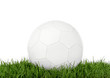 fußball im gras