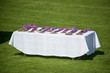 Sport medals on footbal field Sport medals on footbal field