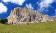 Dolomiti - pasture beneath Sassolungo mount