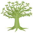 Green Eco Tree Illustration Green Eco Tree Illustration