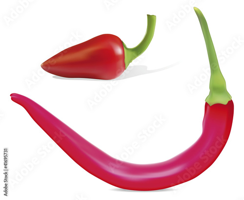Vektor: Chili Pepper Chili Pepper