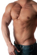 bodybuilder