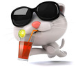 Fun cat Fun cat