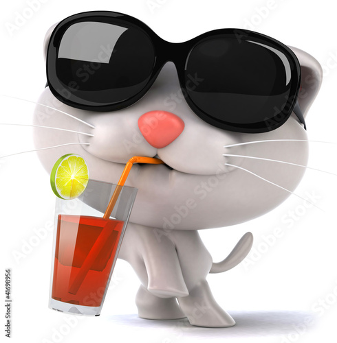 Illustration: Fun cat Fun cat
