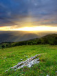Grass and sundown