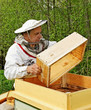 Photo: Apiarist. Apiarist.