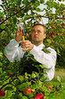 Man in garden.