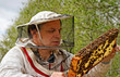 Photo: Apiarist. Apiarist.