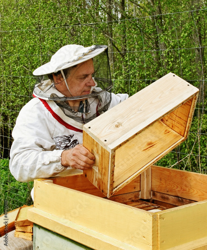 Photo: Apiarist. Apiarist.