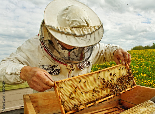 Photo: Apiarist. Apiarist.