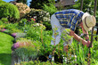 Senior im Garten