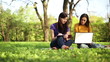 Vídeo: Two students working together with book and laptop Two students working together with book and laptop