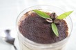 tiramisu and spoon