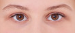 Braune Augen eines attraktiven Mädchens