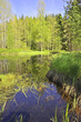 bog lake national park Sumava, Czech republic , europe