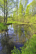 bog muck lake