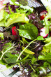 Mixed salad