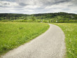 green meadow
