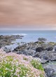 Coastal landscape in spring.