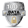 100% DATA SECURITY ICON
