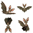 Bat Pack