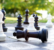 Schach matt