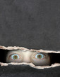 Foto: Look Look