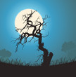 Dead Tree Silhouette In The Moonlight