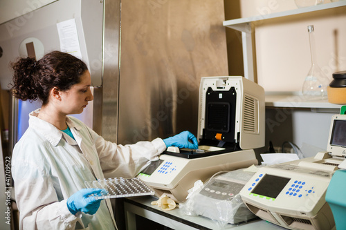 Photo: Loading DNA samples for PCR Loading DNA samples for PCR
