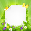 Paper With Flowers And Grass Paper With Flowers And Grass