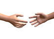STRETTA DI MANO - 3D