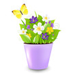 Lilac Pot With Flowers Lilac Pot With Flowers