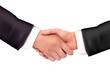 Handshake. Vector  illustration