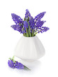 Blue hyacinth flowers in a vase Blue hyacinth flowers in a vase