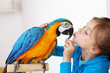 Photo: Child with ara parrot Child with ara parrot