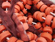 pèche.Flotteurs et filets
