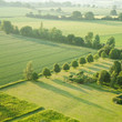 tidy square